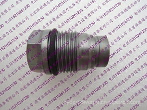 高压力泄压阀博世1110010025 红岩杰斯应用与配件选购指南